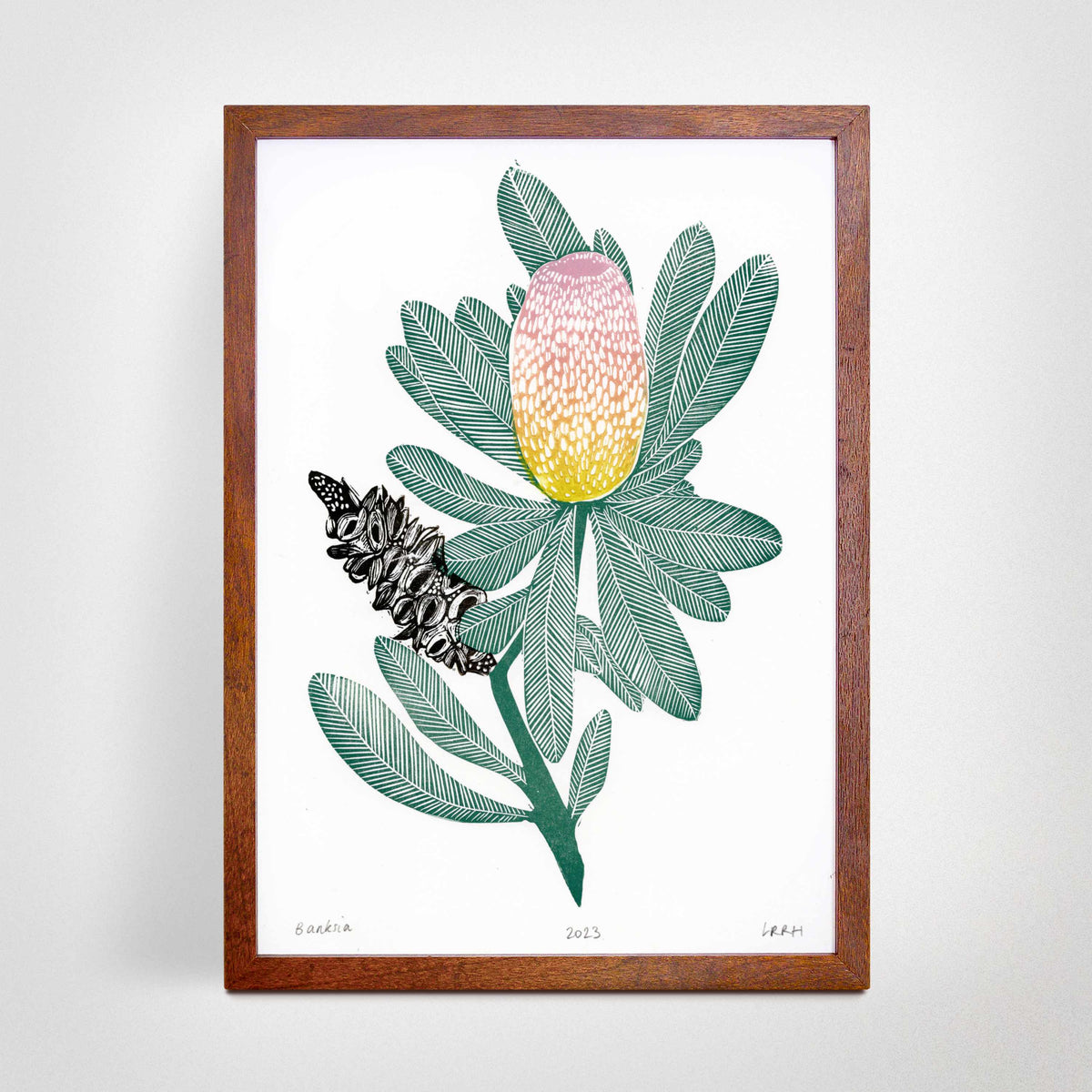 A framed botanical art print featuring a pink and yellow Banksia flower and a deep brown seed pod with green leaves, displayed on a light gray wall.