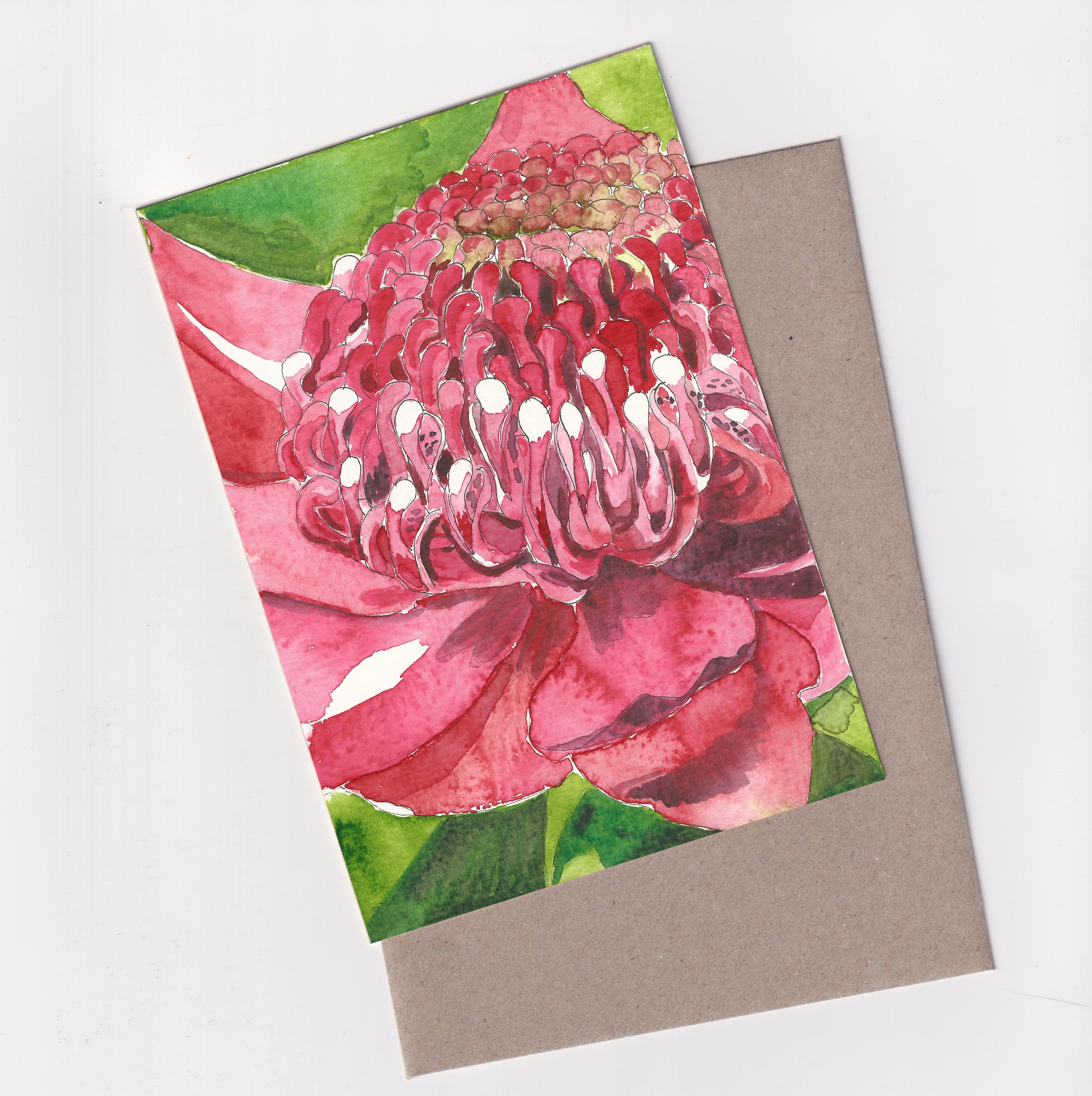 Red Waratah - A6 Greeting Card - Little Rowan Redhead