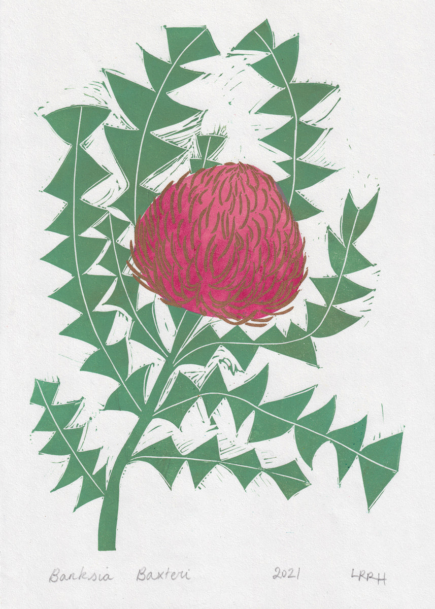 &#39;Banksia Baxteri&#39; Linoprint