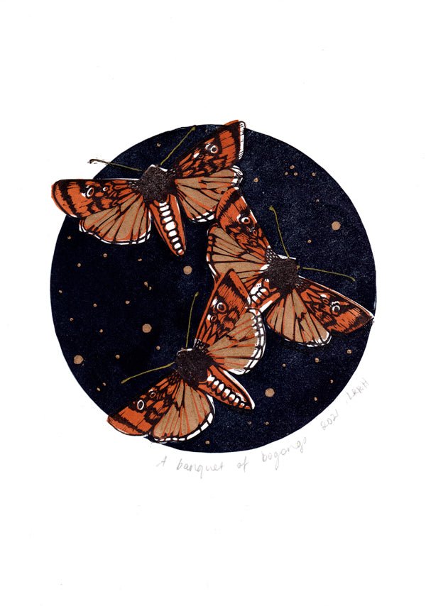 A Banquet of Bogongs - Little Rowan Redhead
