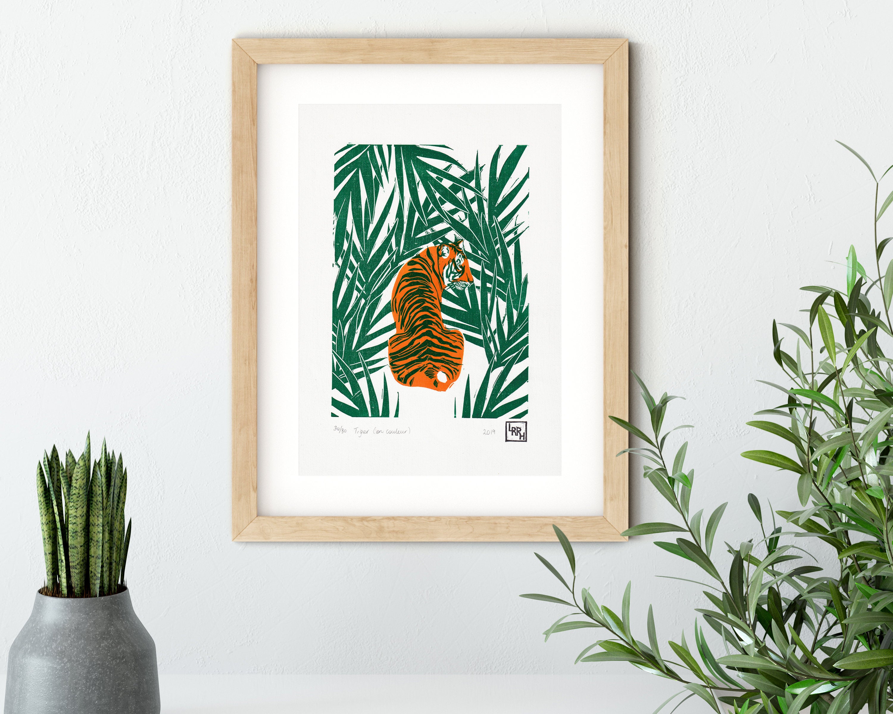 Tiger en couleur - Little Rowan Redhead