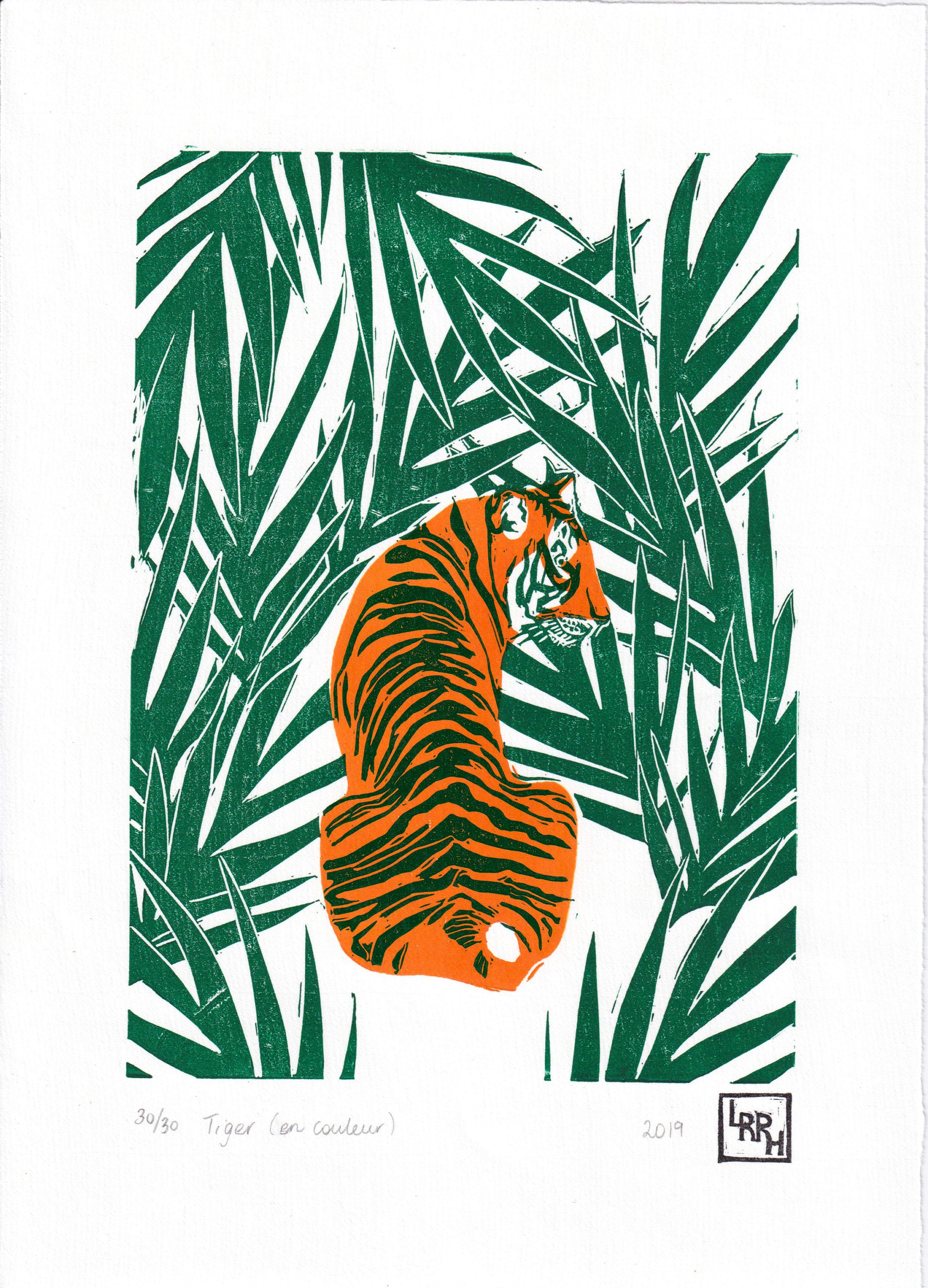 Tiger en couleur - Little Rowan Redhead