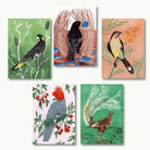 Bird Lover Calendar Bundle - Little Rowan Redhead