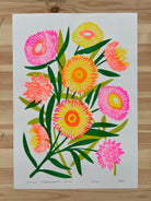 Spring Strawflowers (Riso) - A3 Risoprint - Little Rowan Redhead