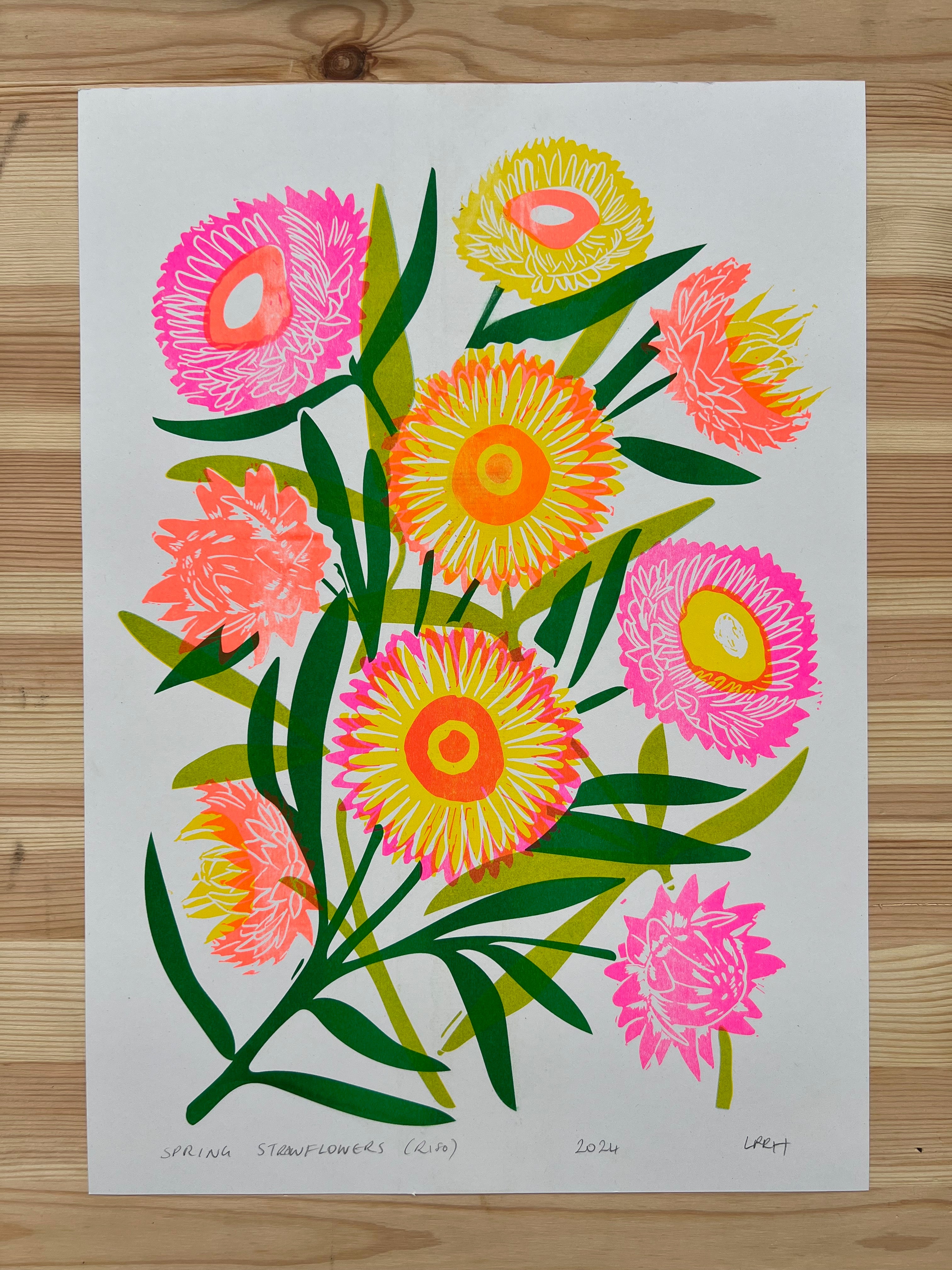Spring Strawflowers (Riso) - A3 Risoprint - Little Rowan Redhead