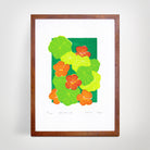 Nasturtium - Little Rowan Redhead