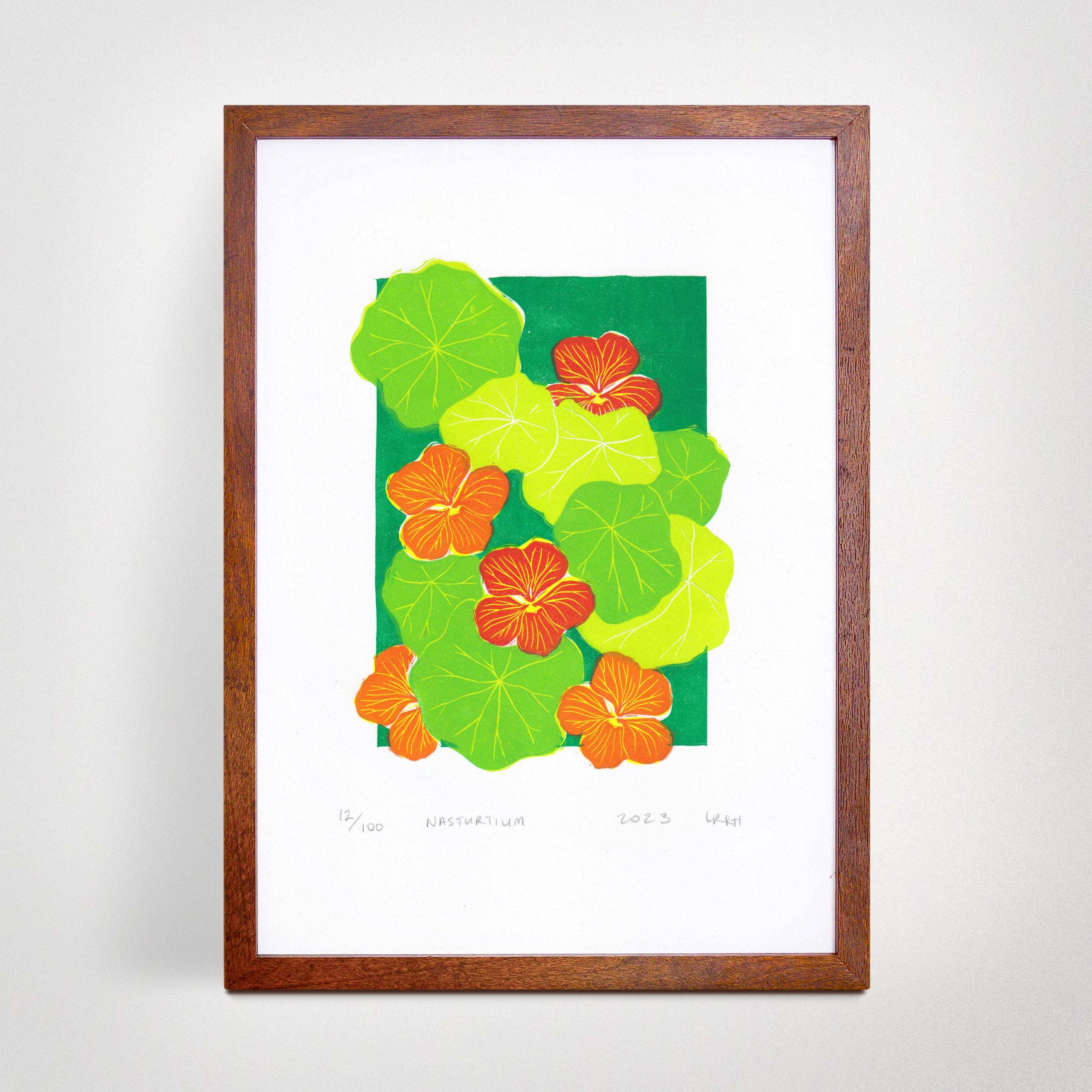 Nasturtium - Little Rowan Redhead