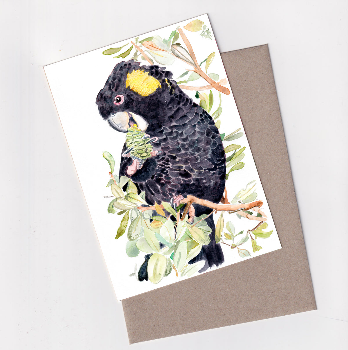Black Cockatoo and Banksia - A6 Greeting Card