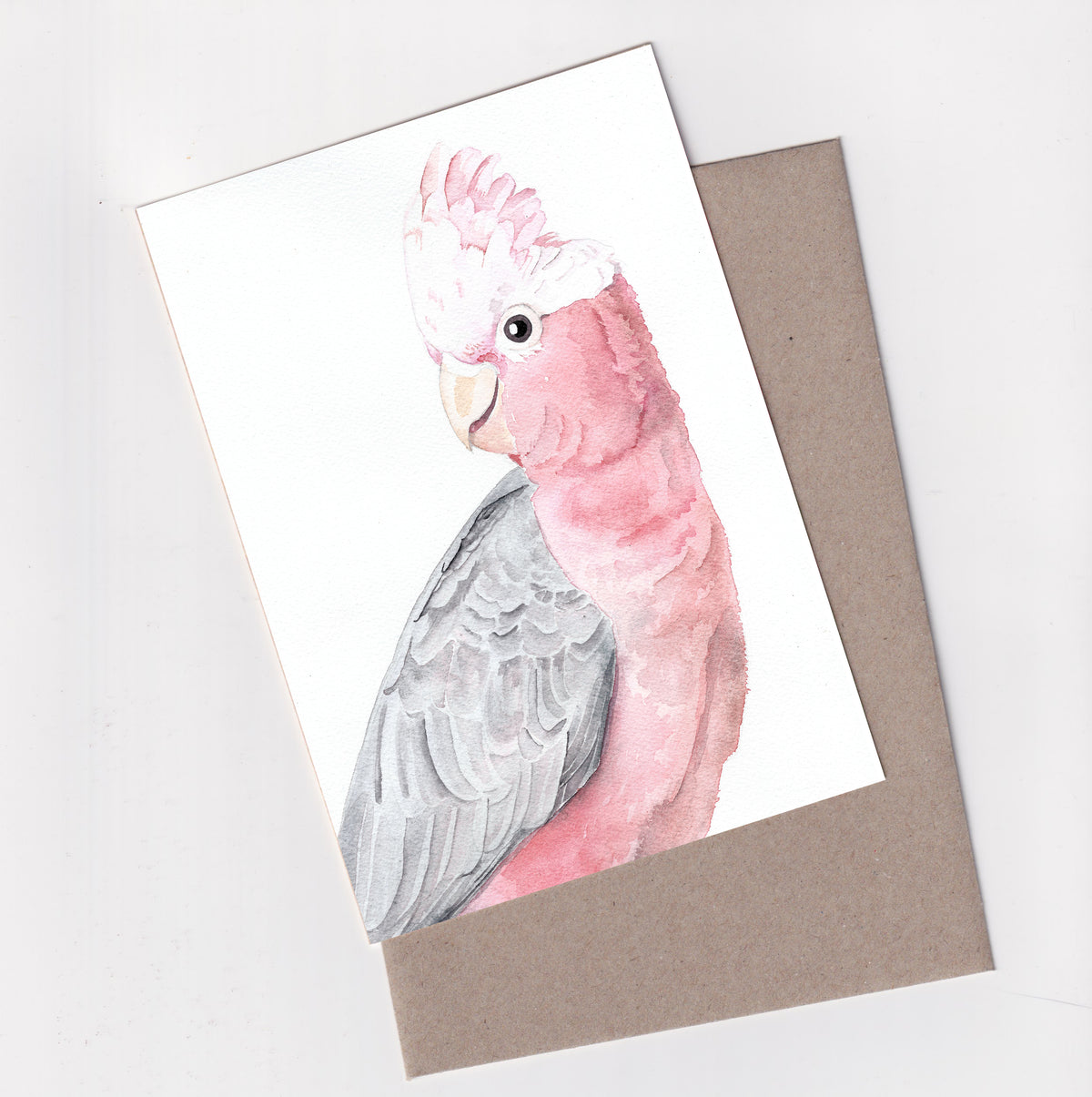 Galah - A6 Greeting Card