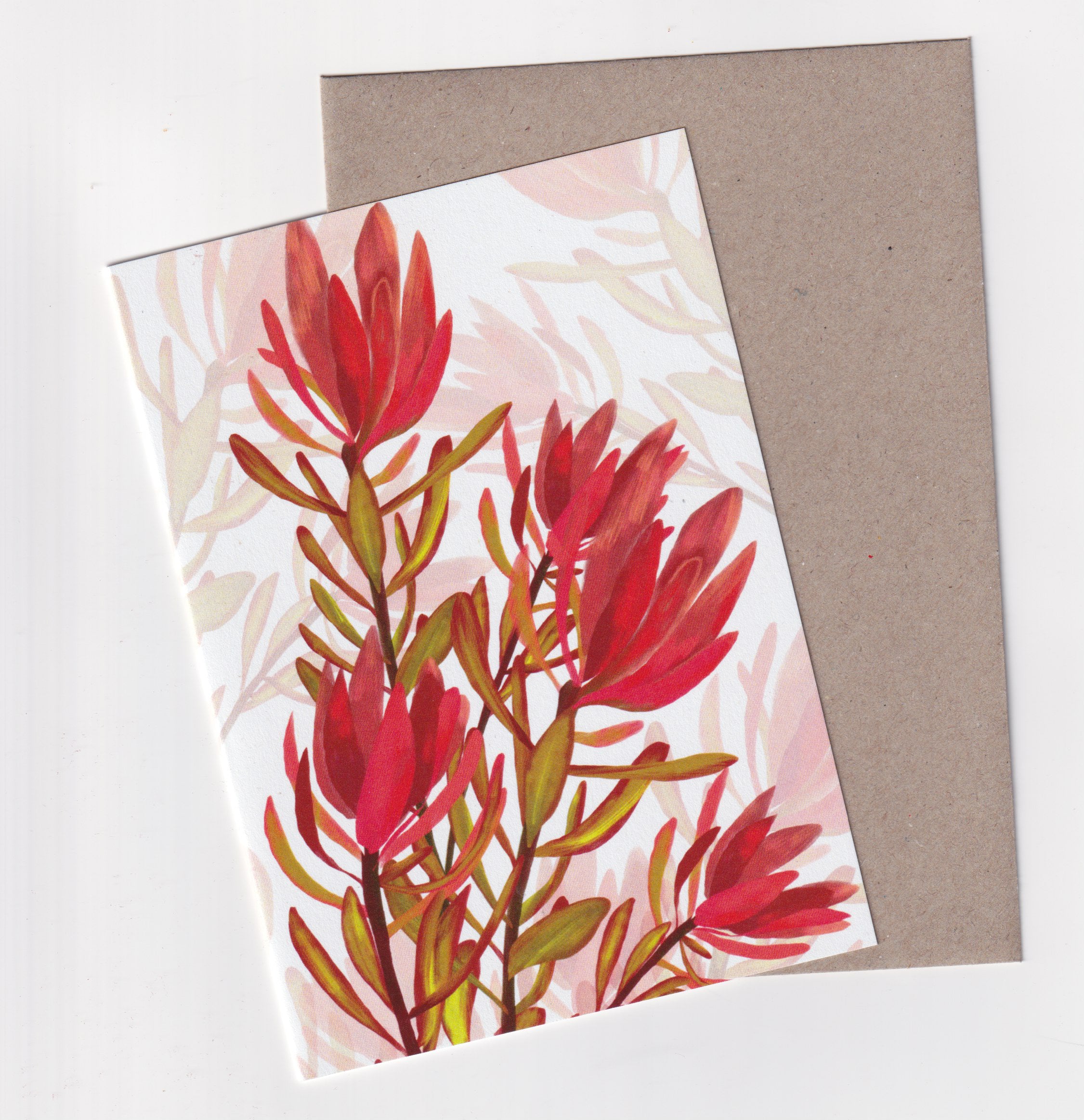 Leucadendron - A6 Greeting Card - Little Rowan Redhead