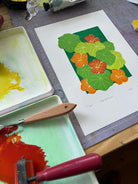 Nasturtium - Little Rowan Redhead