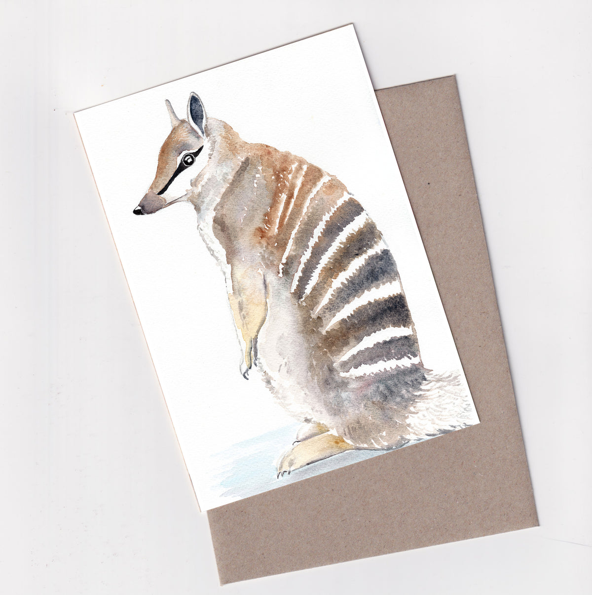 Numbat - A6 Greeting Card