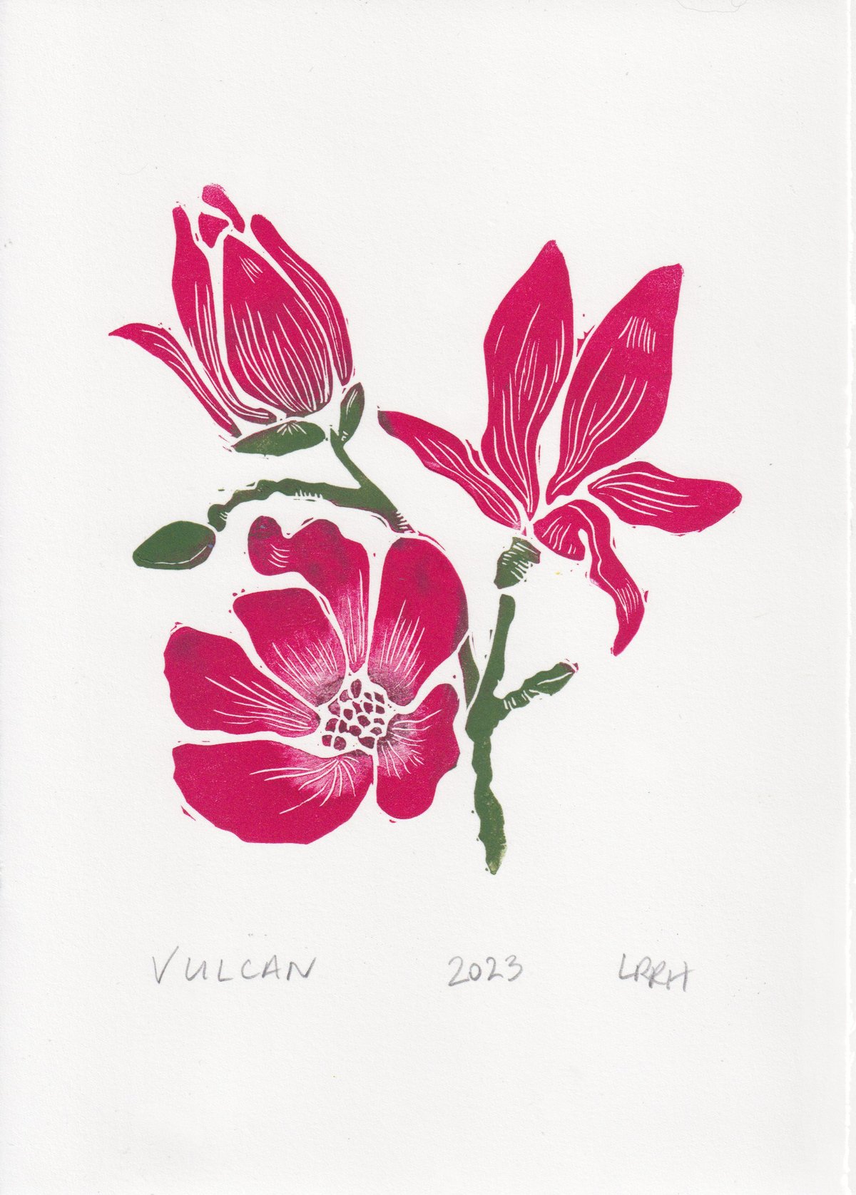 Vulcan - Magnolia Linoprint