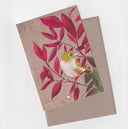 Waxeye - A6 Greeting Card - Little Rowan Redhead