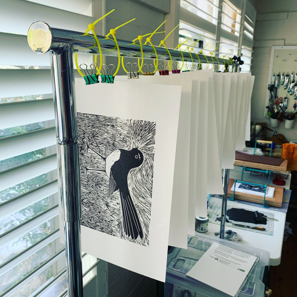 Willy Wagtail - Australian wall art, original art, limited edition, linoprint, home decor