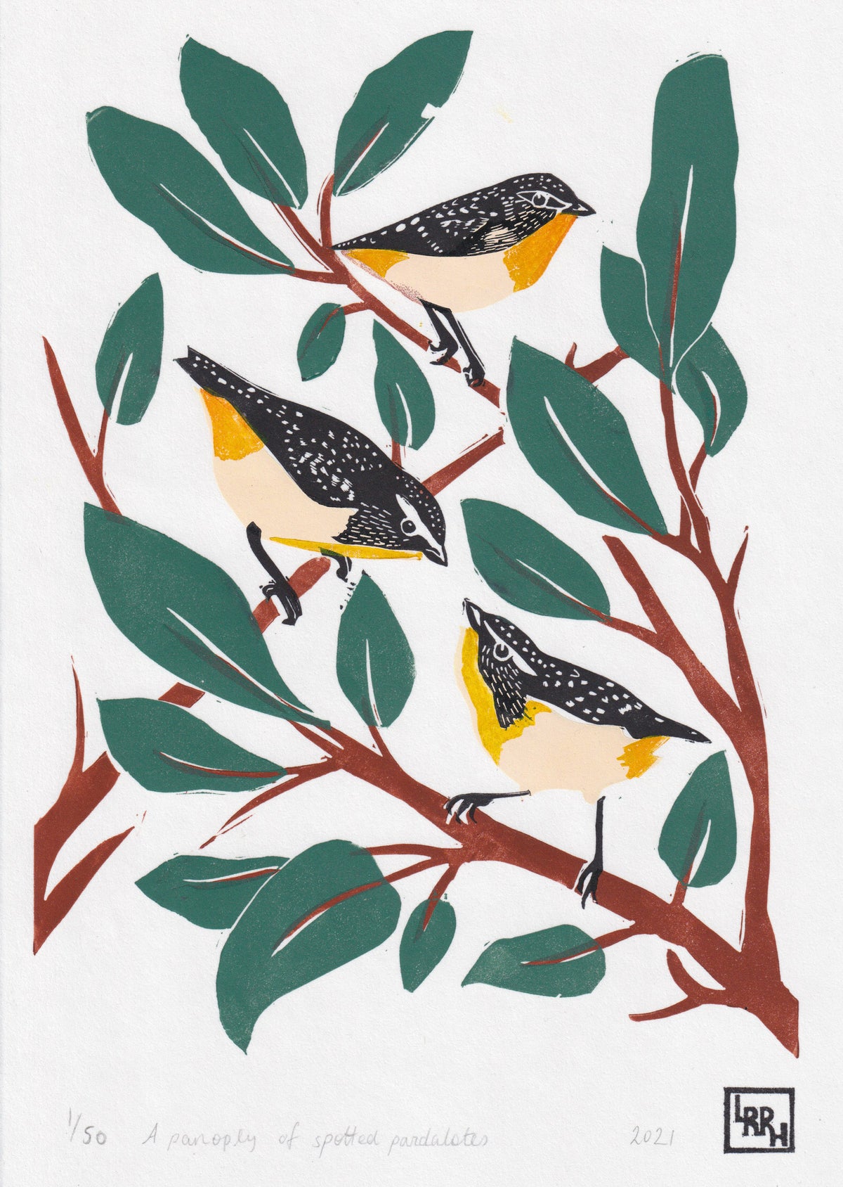 &#39;A Panoply of Spotted Pardalotes&#39; Linoprint, Australian native birds, original artwork, handmade in Sydney