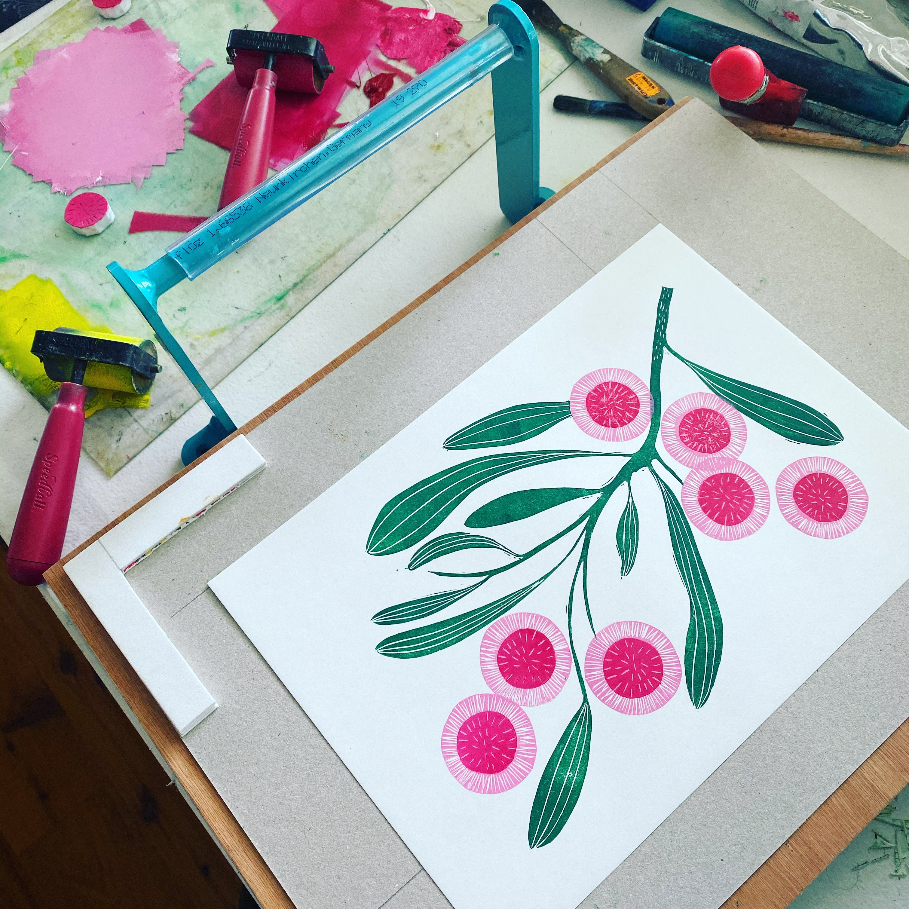 Hakea Laurina - Little Rowan Redhead