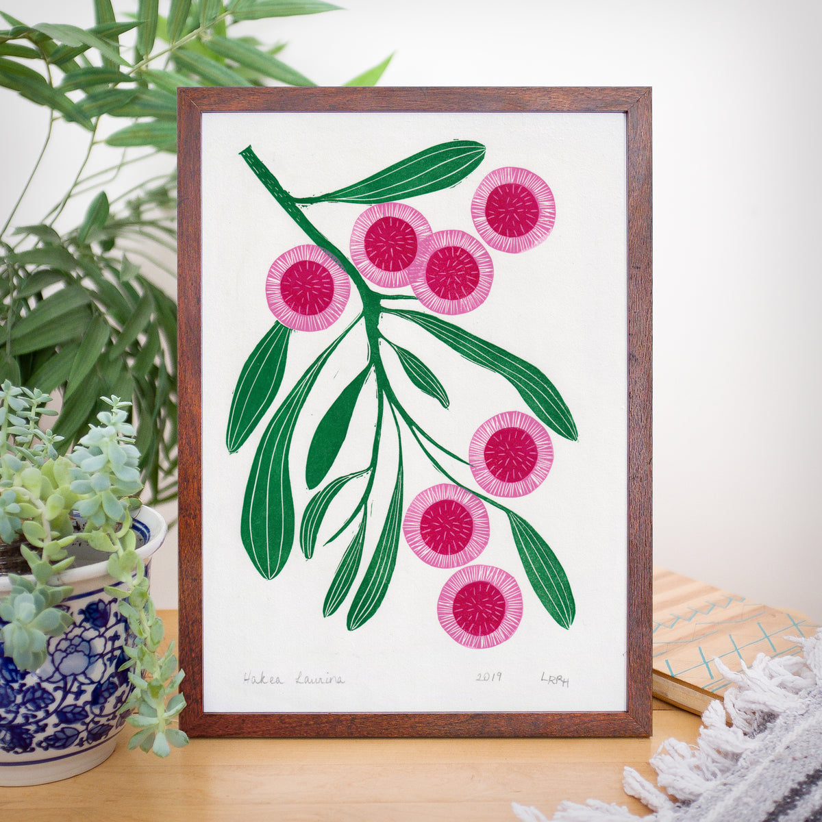 Australian native flower linoprint, Hakea Laurina artwork, handmade in Sydney