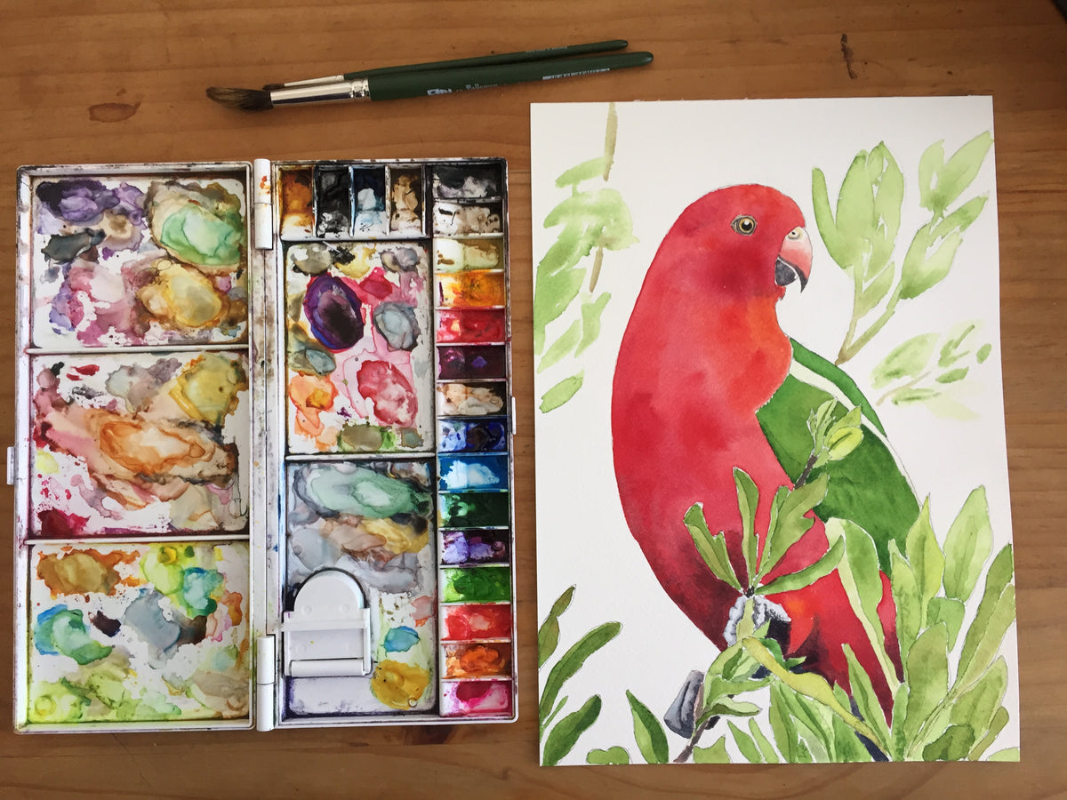 &#39;King Parrot&#39; - Original watercolour painting - #artistsupportpledge campaign
