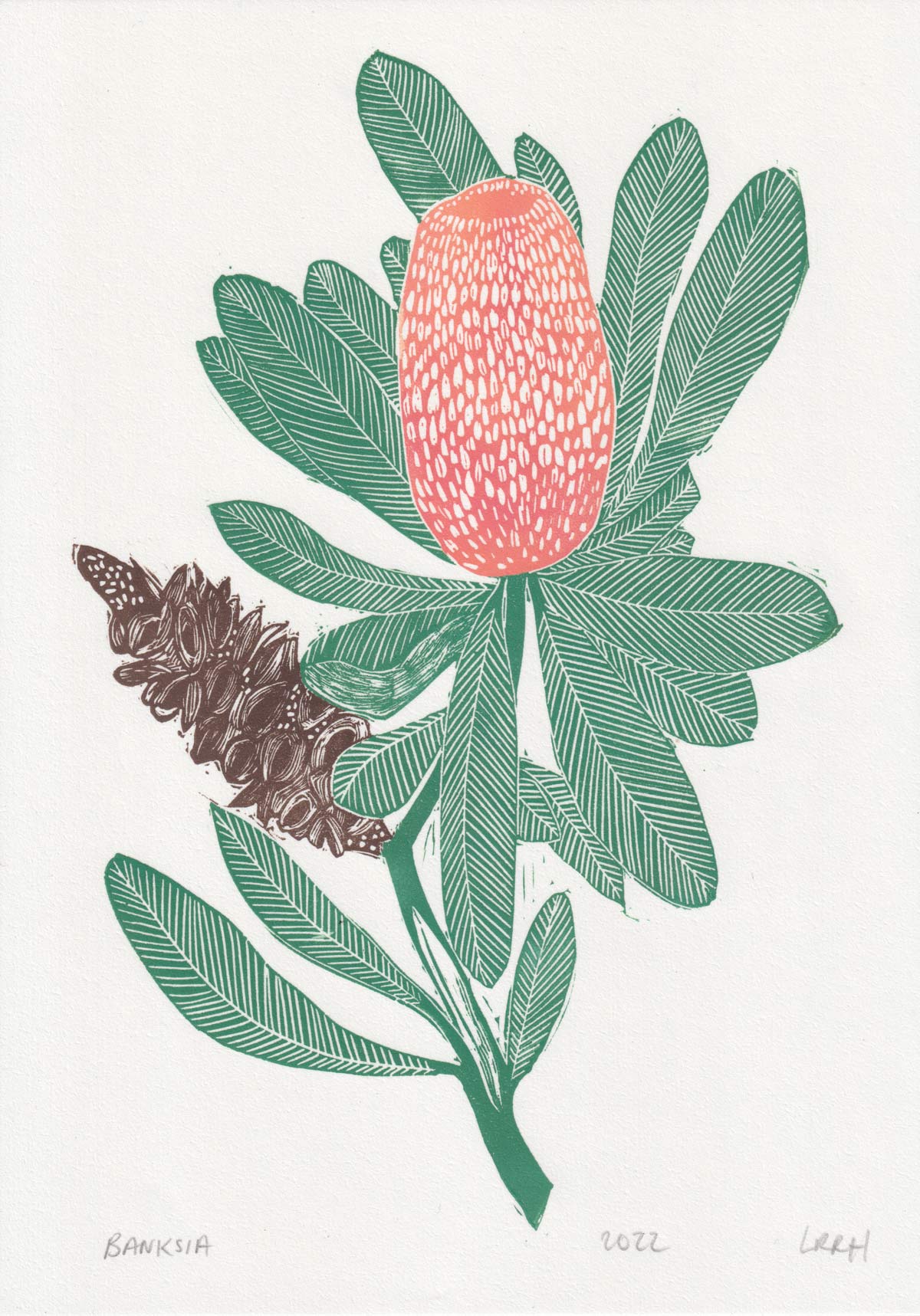 Banksia linoprint
