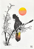 Black Cockatoo, Red Sun - Little Rowan Redhead