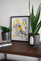 Eastern Yellow Robin and Wattle - Little Rowan Redhead