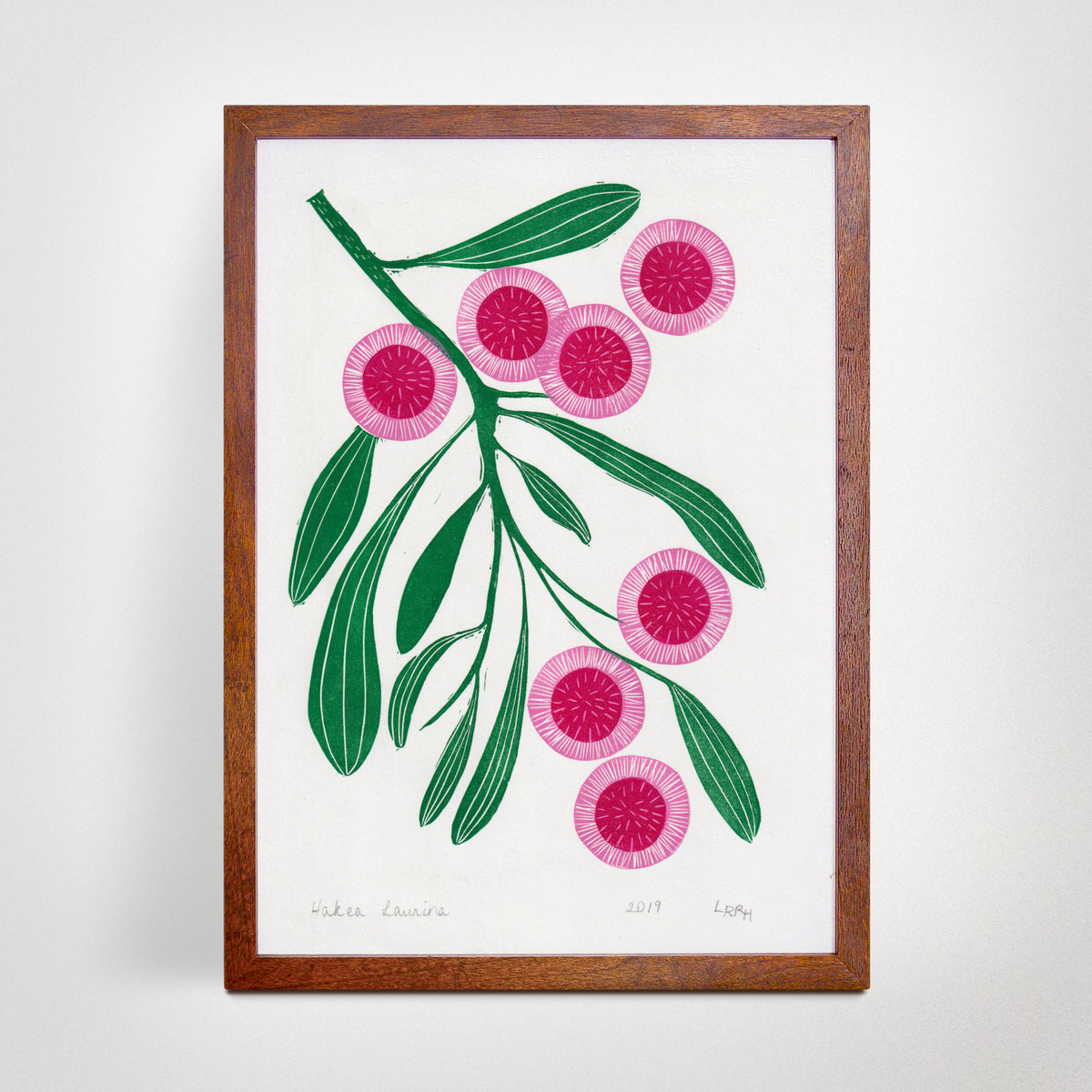 Australian native flower linoprint, Hakea Laurina artwork, handmade in Sydney