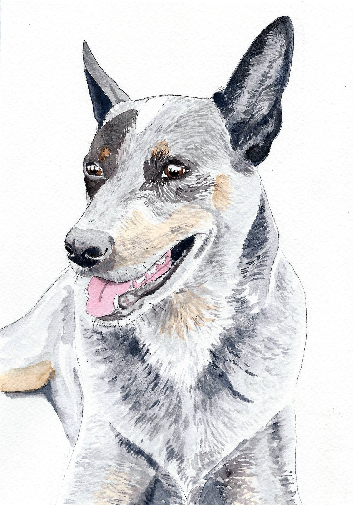 Custom pet portrait, dog portrait, dog watercolour painting