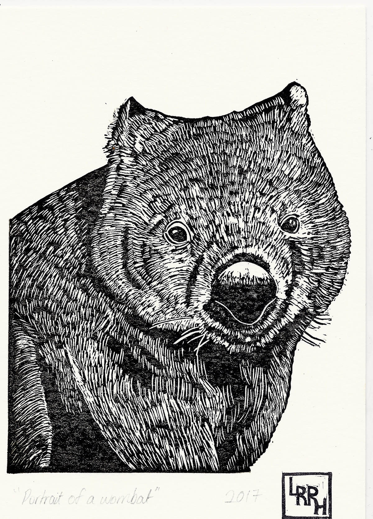 Portrait of a Wombat - Linoprint - Little Rowan Redhead