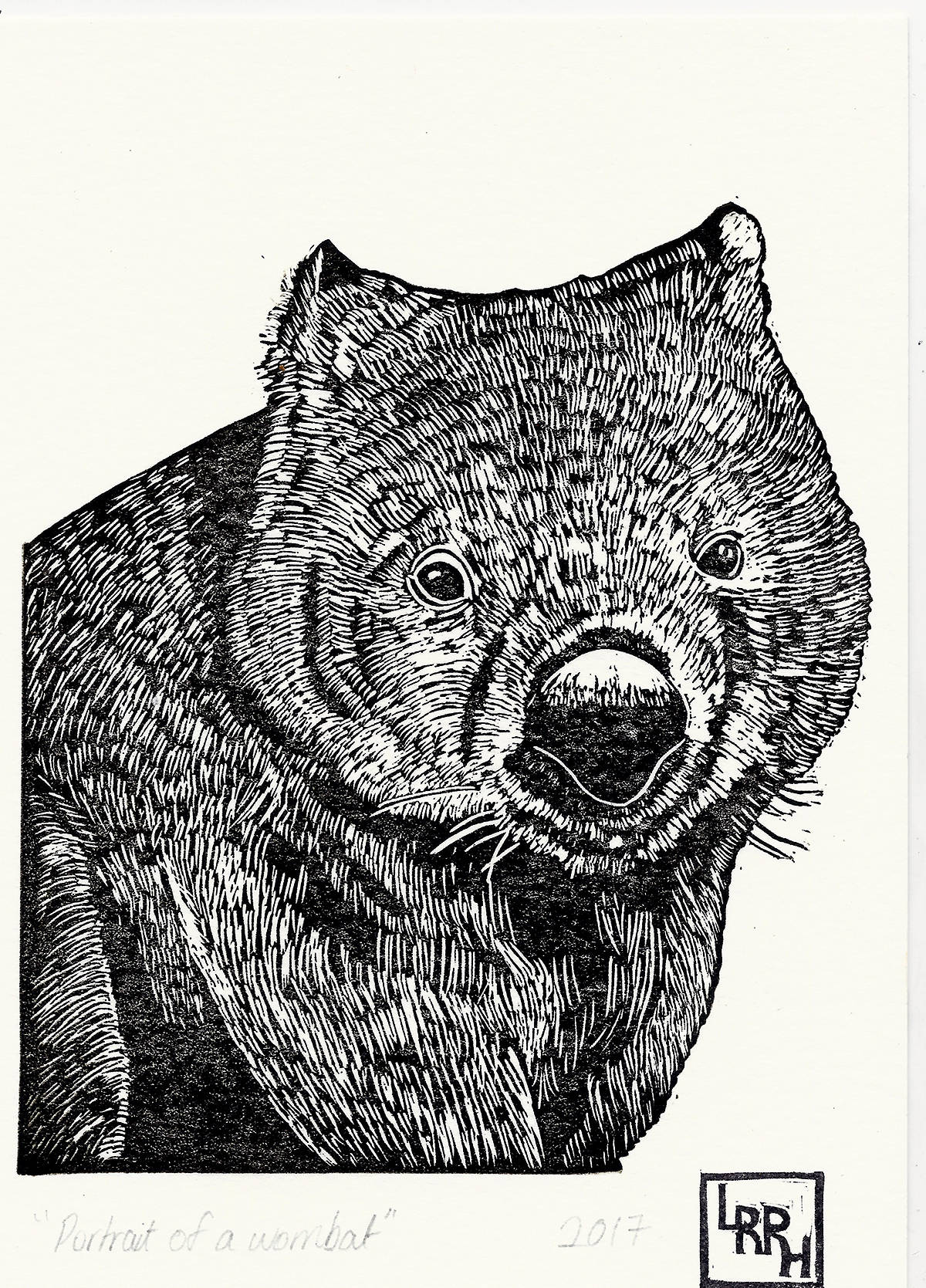 Portrait of a Wombat - Linoprint