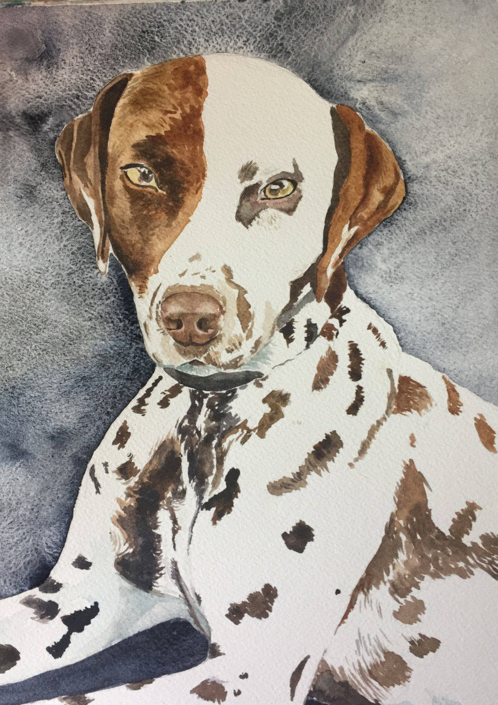 Custom pet portrait