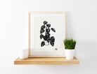 Monstera - Little Rowan Redhead
