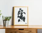 Monstera - Little Rowan Redhead