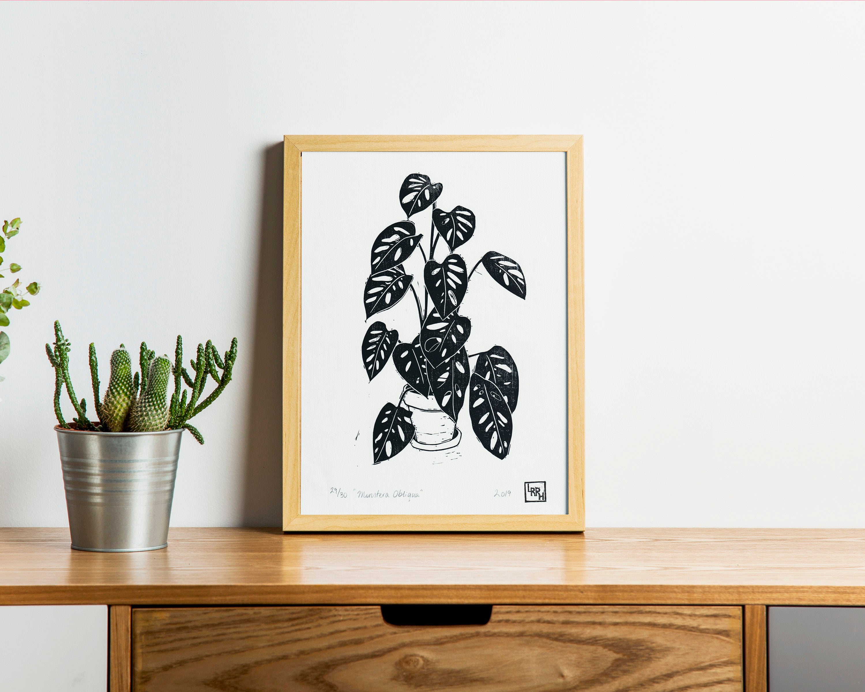 Monstera - Little Rowan Redhead