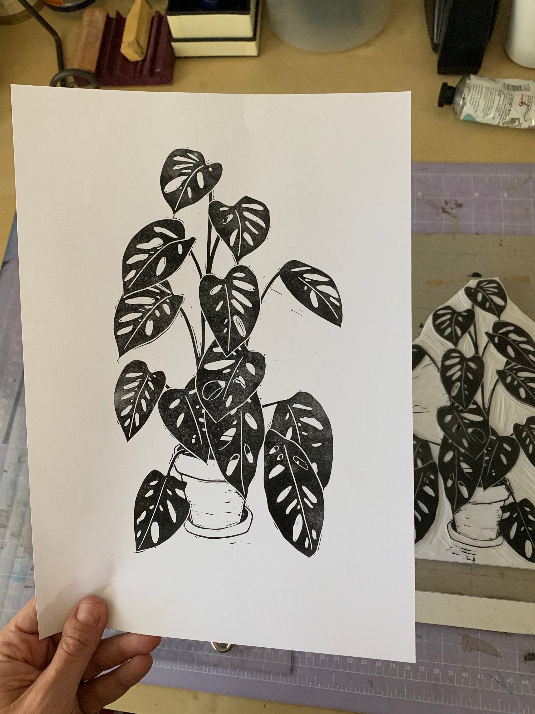 Monstera - Little Rowan Redhead