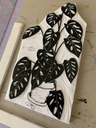 Monstera - Little Rowan Redhead