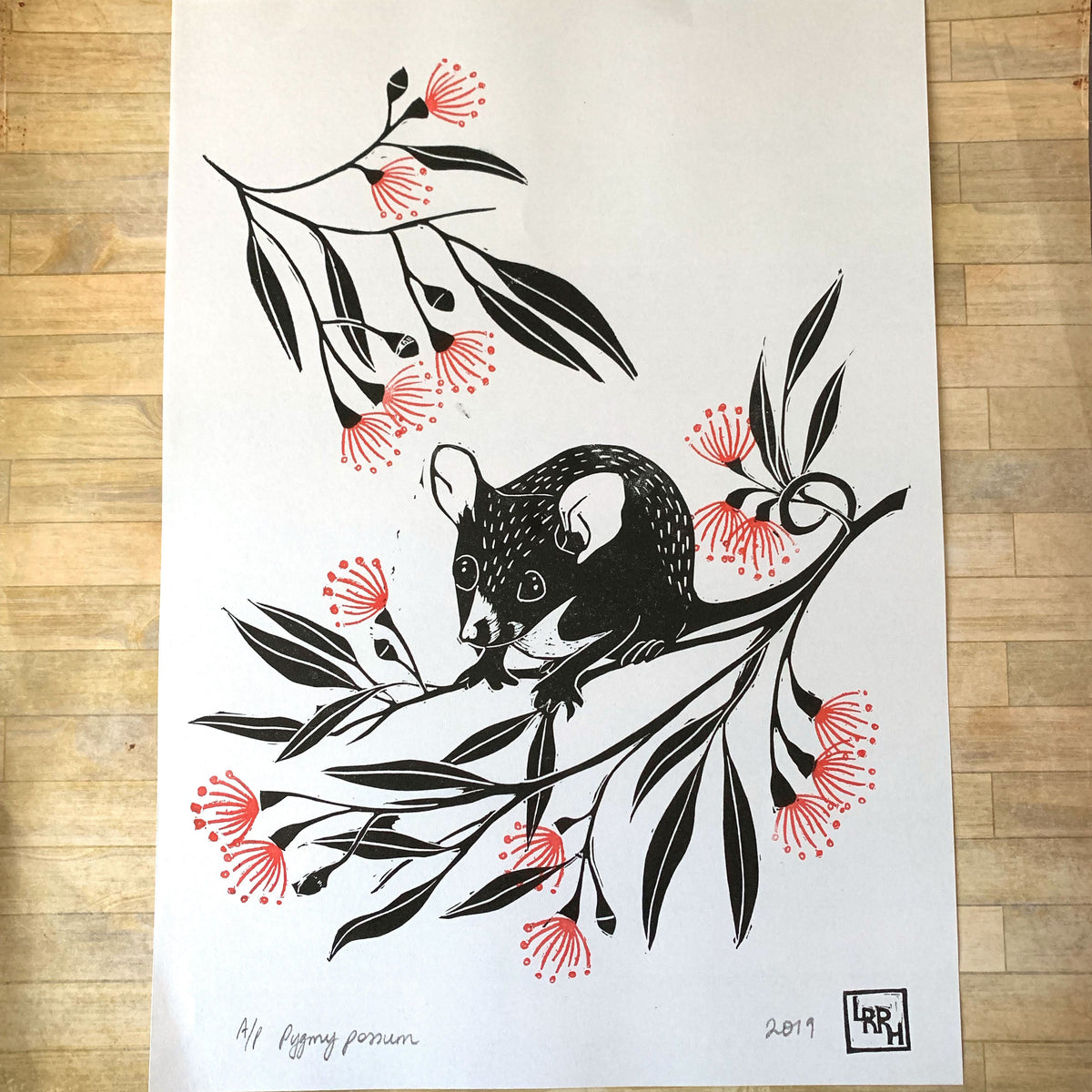 Pygmy Possum and Gum Blossoms - original linoprint