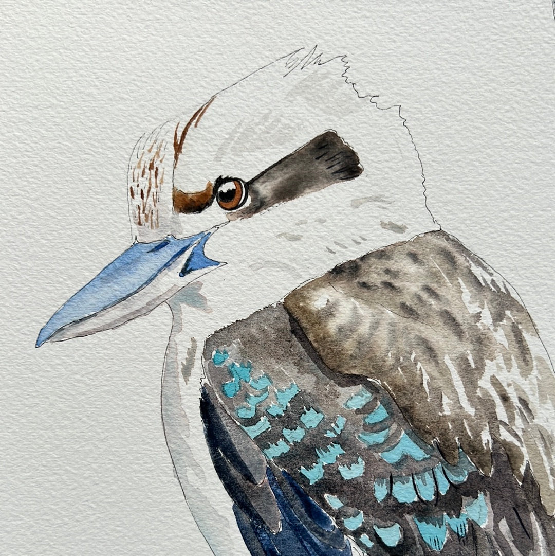 Original watercolour painting -Kookaburra