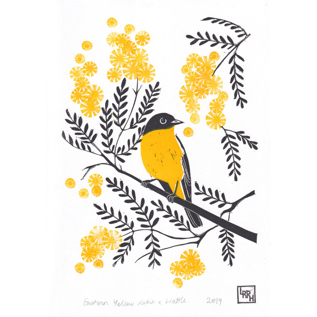 &#39;Eastern Yellow Robin and Wattle&#39; Linoprint, Australian native bird, original artwork, handmade in Sydney