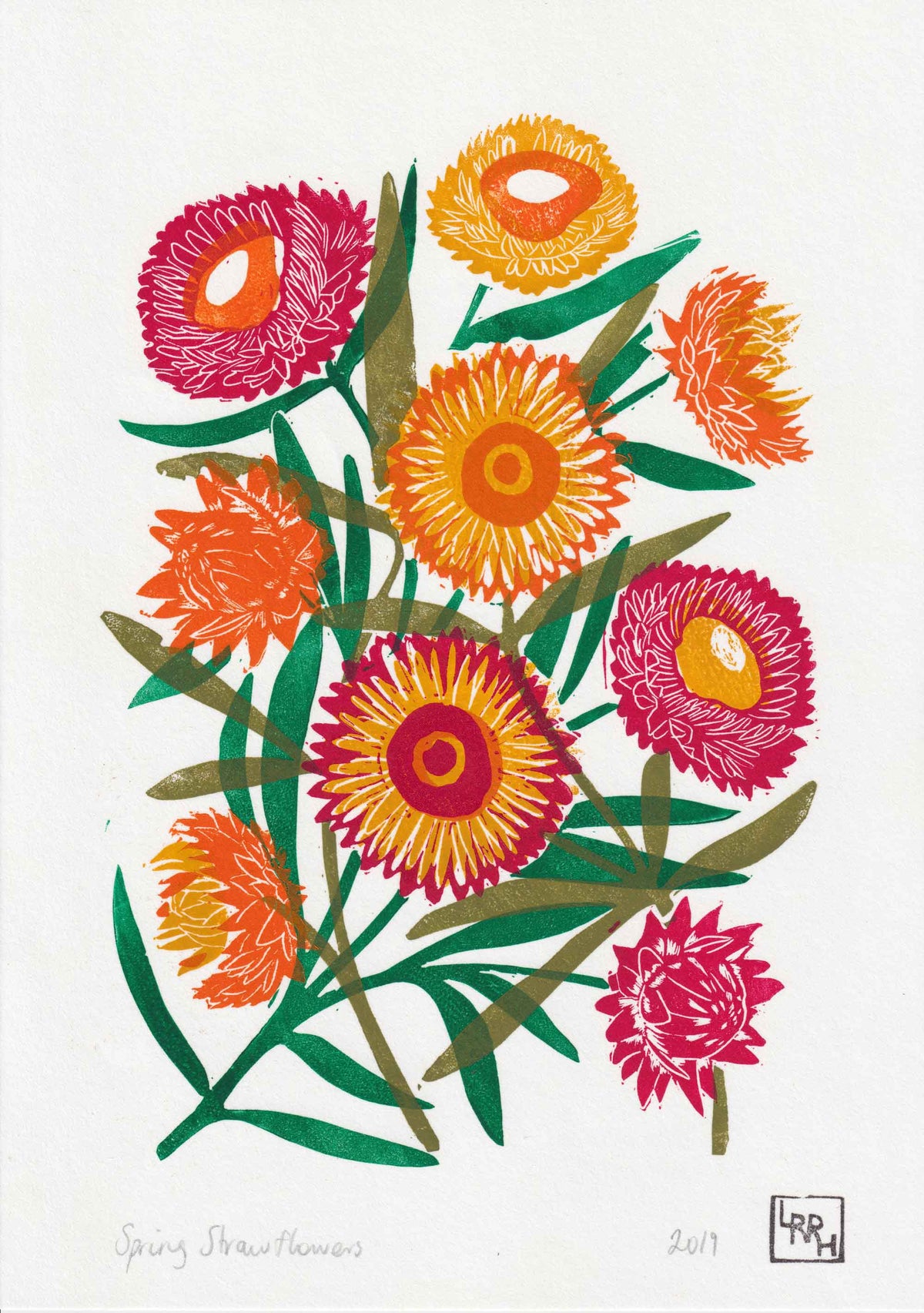 Spring Strawflowers - Original 5 layer Linoprint