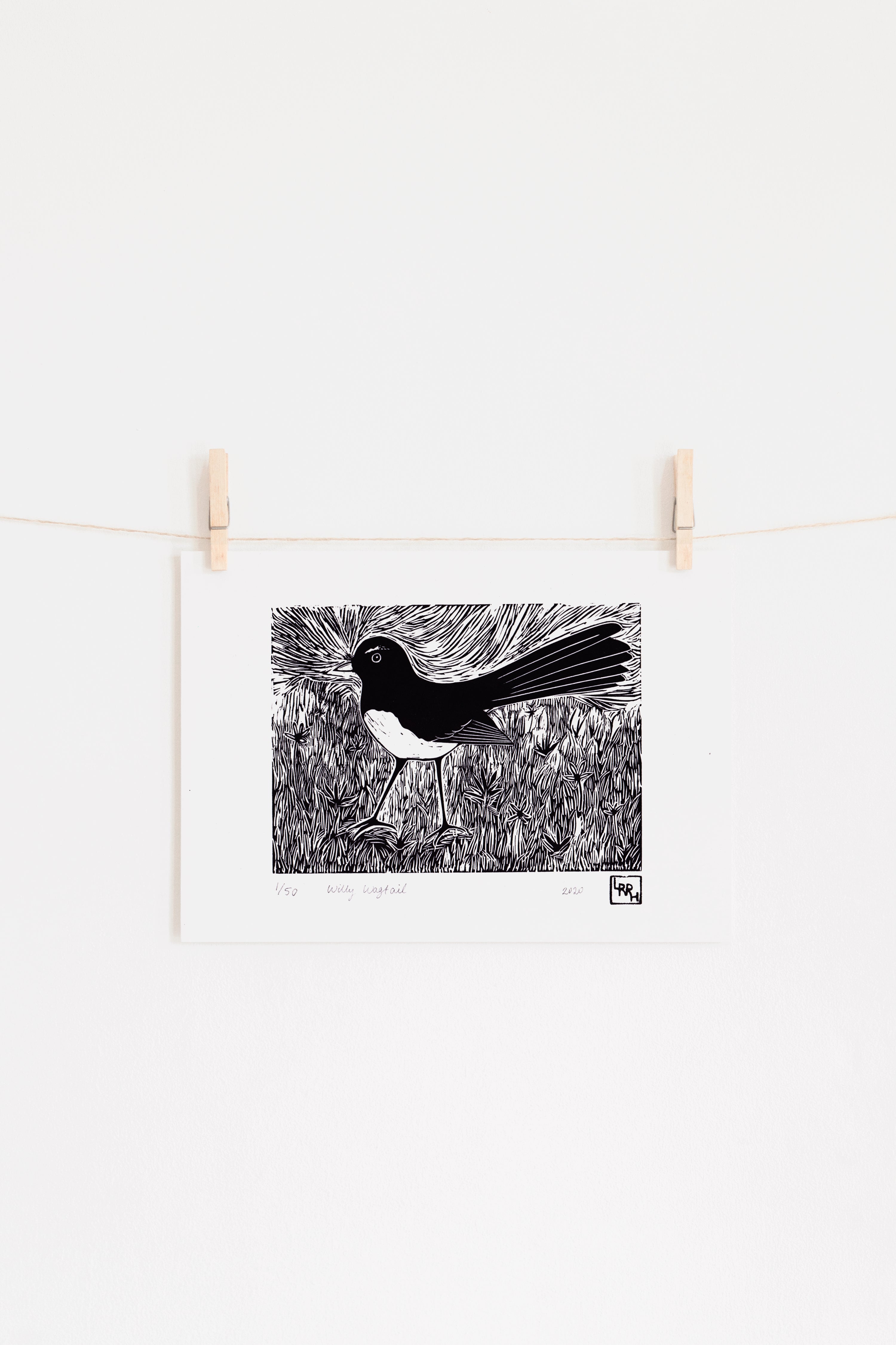 Willy Wagtail - Little Rowan Redhead