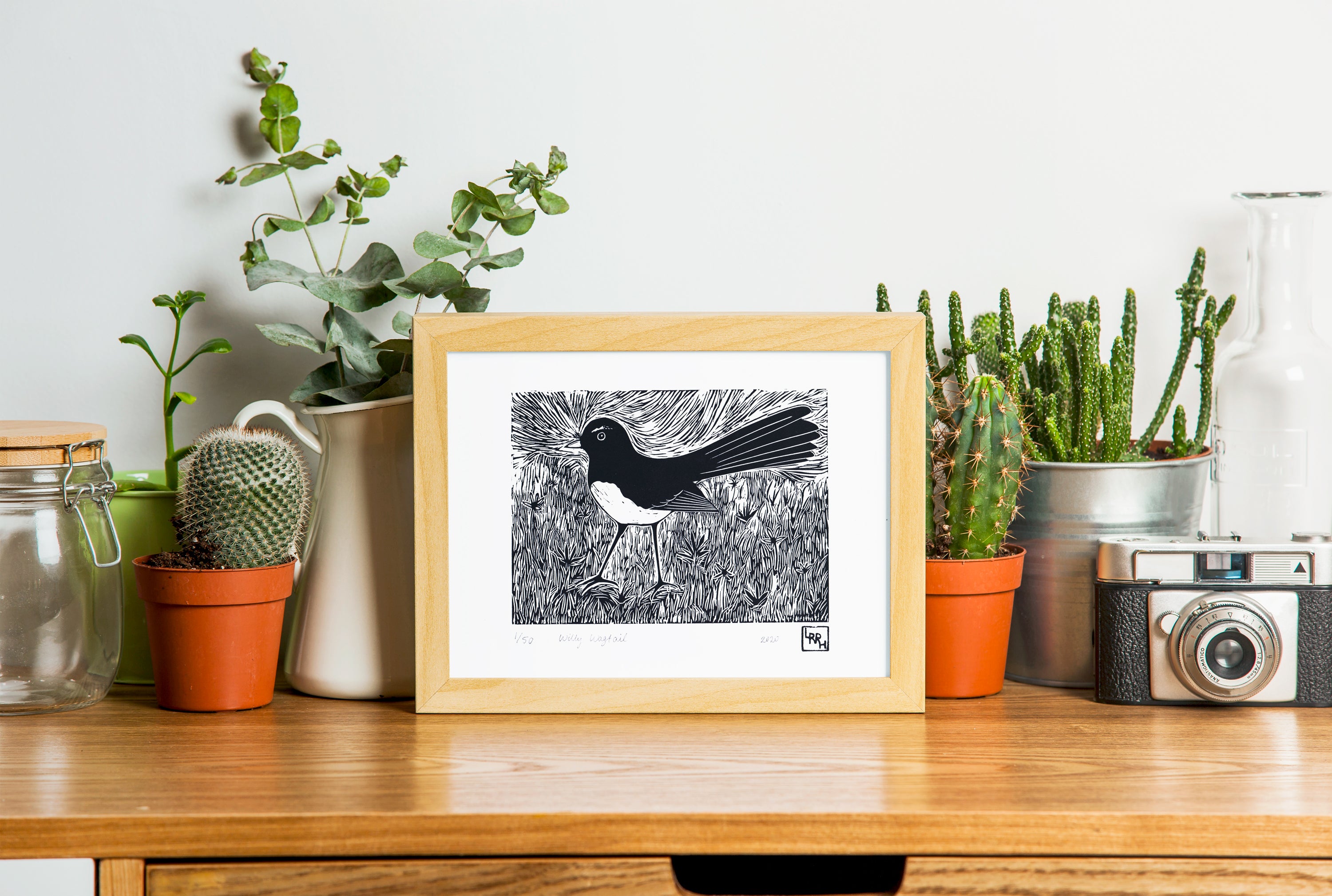 Willy Wagtail - Little Rowan Redhead